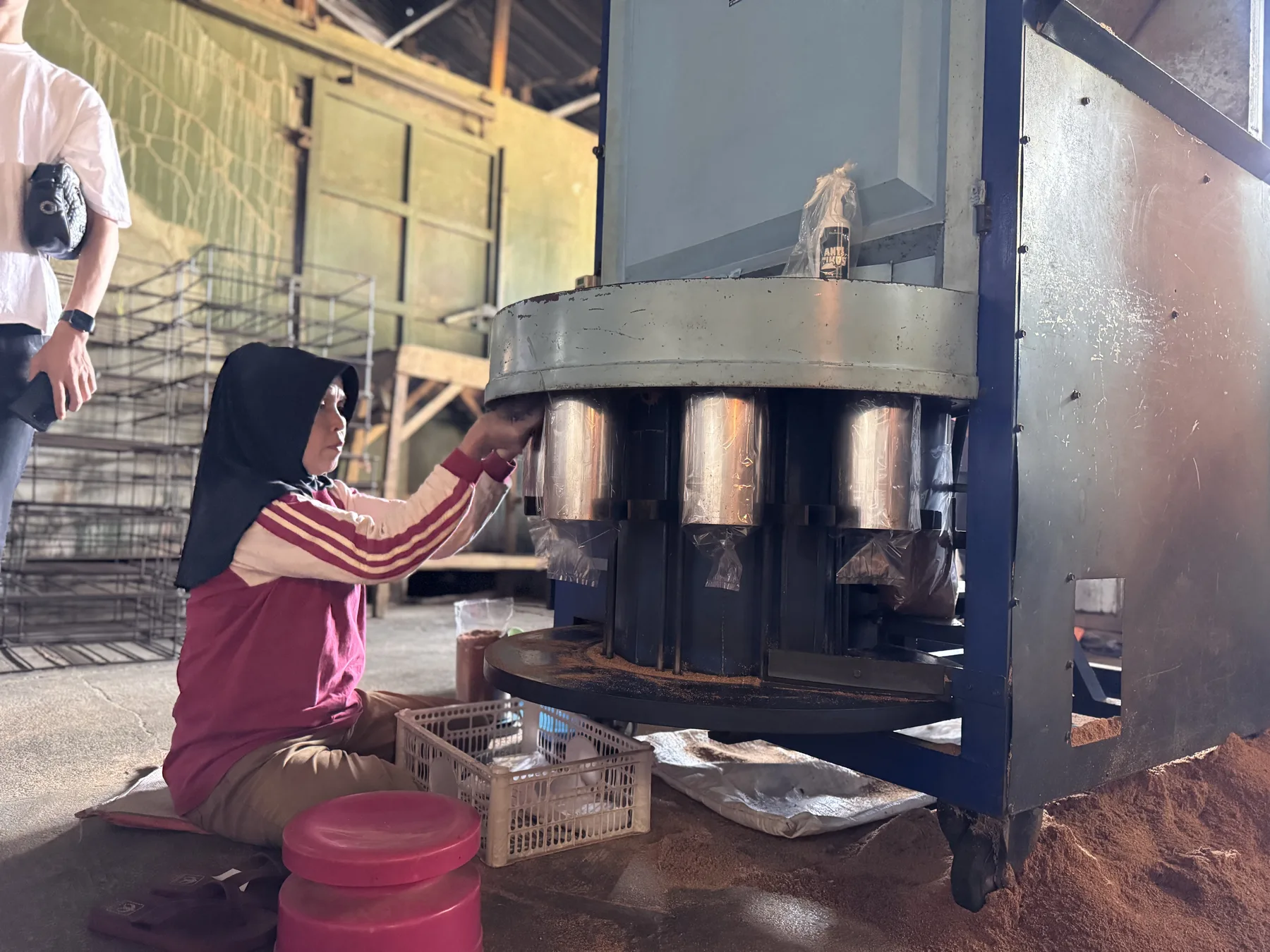 Bibit Jamur