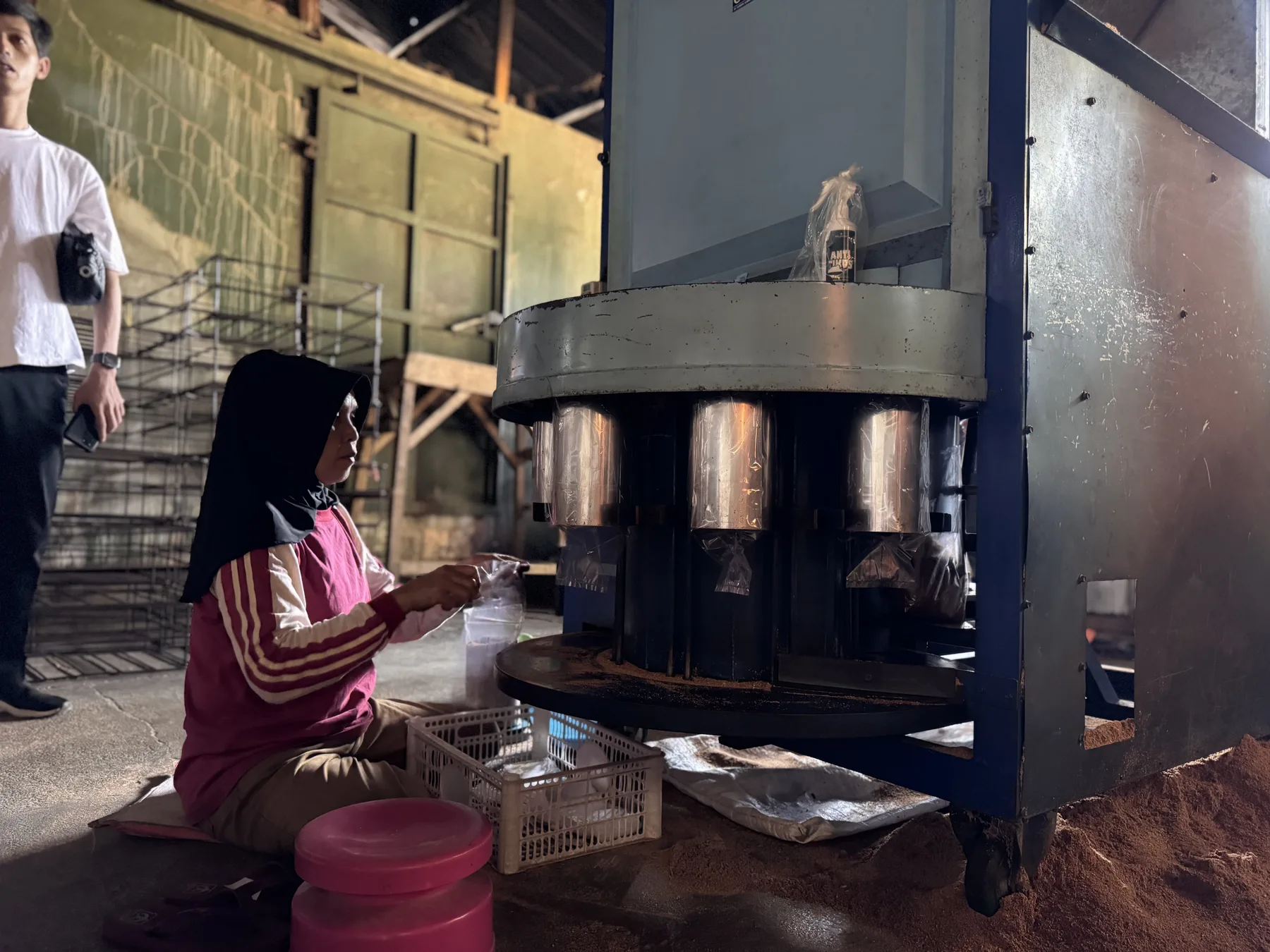 Proses Inkubasi dalam Budidaya Jamur