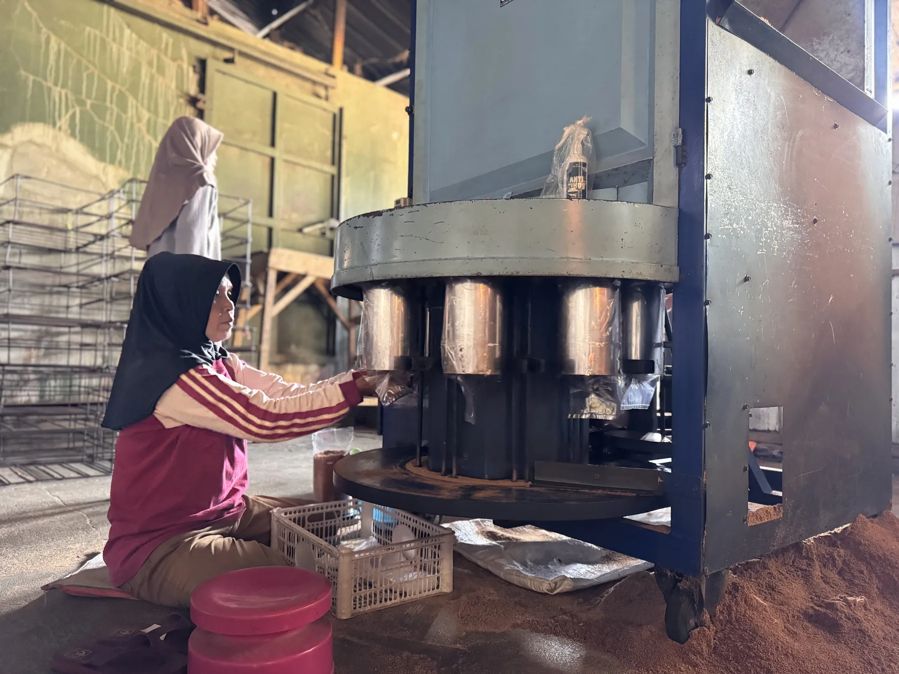 Bibit Jamur